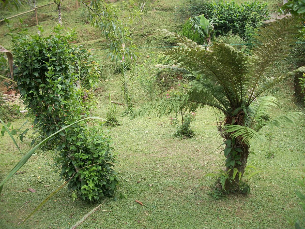 Chales Vale Verde Visconde De Maua Exterior foto